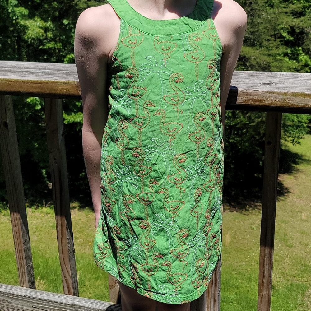Girls Gymboree Dress